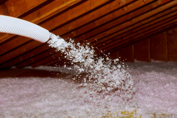 Best Home Insulation Services  in Greenville, SC
