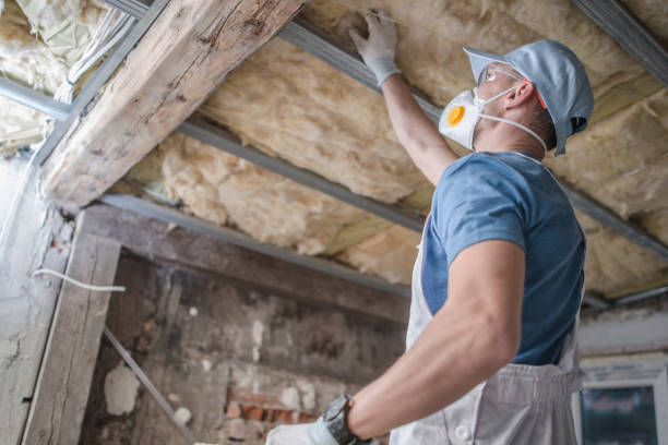 Best Energy-efficient Insulation  in Greenville, SC