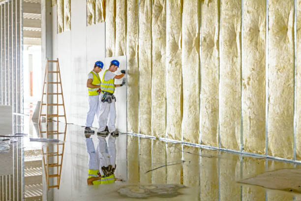 Best Crawl Space Insulation  in Greenville, SC